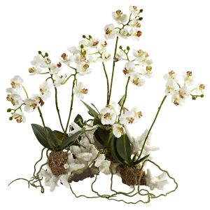 Orchids | Mini Phalaenopsis Set on Coral Artificial Flowers Orchids