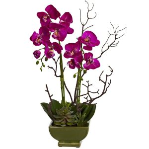 Orchids | Orchid & Succulent Arrangement Artificial Flowers Orchids