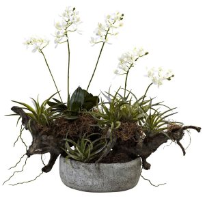 Orchids | Orchid & Succulent Garden w/Driftwood & Decorative Vase Artificial Flowers Orchids