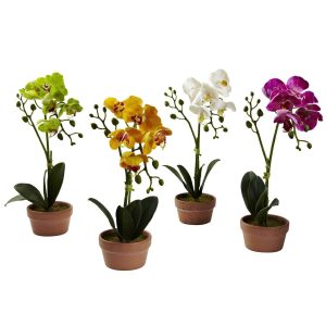 Orchids | Phalaenopsis Orchid Clay Vase (Set of 4) Artificial Flowers Orchids