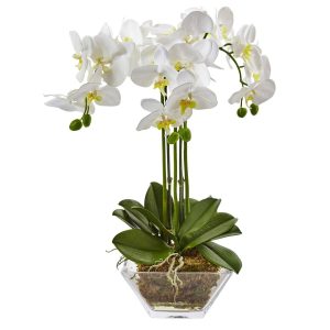 Orchids | Triple Phalaenopsis Orchid in Glass Vase Artificial Flowers Orchids