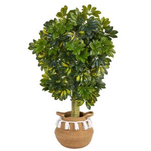 Other Varieties | 4' Schefflera Tree in Boho Chic Handmade Natural Cotton Woven Planter with Tassels (Real Touch) Artificial Trees Other Varieties