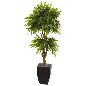 Other Varieties | 5.5' Mango Artificial Tree in Black Wash Planter (Indoor/Outdoor) Artificial Trees Other Varieties