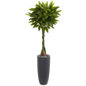 Other Varieties | 5.5' Money Artificial Tree in Gray Cylinder Planter (Real Touch) Artificial Plants Floor Plants