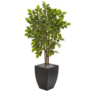 Other Varieties | 57" River Birch Artificial Tree in Black Planter Artificial Trees Other Varieties