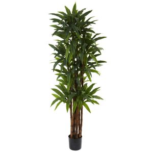 Other Varieties | 6.5’ Dracaena Tree Artificial Trees Dracaena Trees