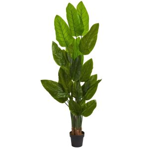 Other Varieties | 6' Canna Artificial Tree Artificial Trees Other Varieties