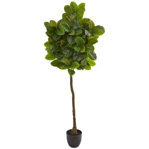 Other Varieties | 6' Rubber Leaf Artificial Tree (Real Touch) Artificial Trees Other Varieties