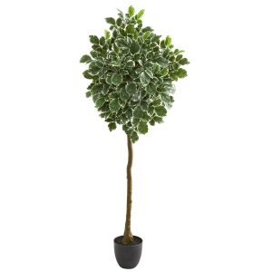 Other Varieties | 6" Variegated Aralia Artificial Tree Artificial Trees Other Varieties