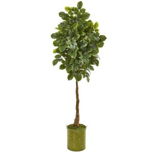 Other Varieties | 69" Beech Leaf Artificial Tree in Metal Planter Artificial Trees Other Varieties