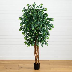 Other Varieties | 7’ Sakaki Silk Tree Artificial Trees Ficus Trees