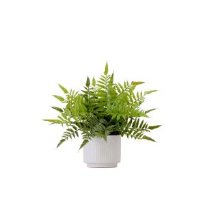 Plants in Decorative Planter | 13" Artificial Boston Fern Plant with Decorative Planter Artificial Plants Ferns