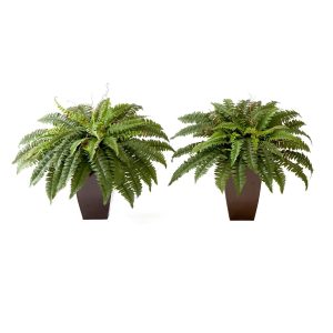 Plants in Decorative Planter | 23" Artificial Boston Fern Plant with Tapered Bronze Square Metal Planter DIY KIT – Set of 2 Artificial Plants Ferns