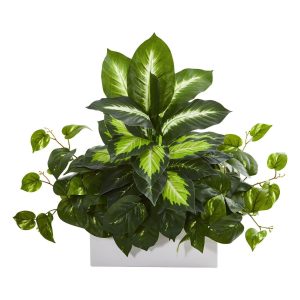 Pothos | Golden Dieffenbachia & Pothos Artificial Plant Artificial Plants Pothos