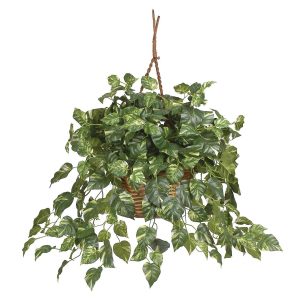 Pothos | Pothos Hanging Basket Silk Plant Artificial Plants Pothos