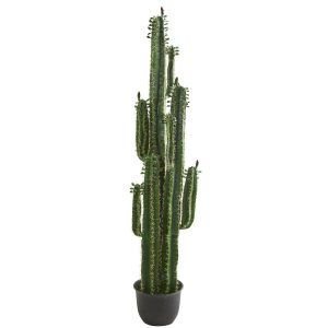 Statement Trees | 6.5' Cactus Artificial Plant Artificial Plants Cactus