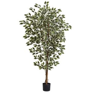 Statement Trees | 6' Hawaiian Ficus Tree Artificial Trees Ficus Trees