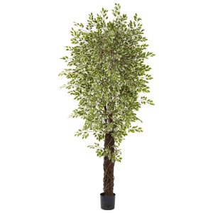 Statement Trees | 7.5' Variegated Mini Ficus Silk Tree Artificial Trees Ficus Trees