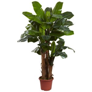 Statement Trees | 7' Giant Triple Stalk Banana Tree UV Resistant (Indoor/Outdoor) Artificial Trees Banana Trees