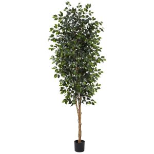 Statement Trees | 8’ Ficus Tree w/1512 Lvs Artificial Trees Ficus Trees