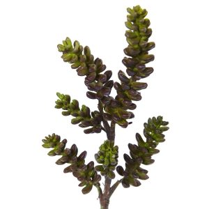 Succulents | 13" Succulent Artificial Flower (Set of 12) Green Burgundy Artificial Plants Green Burgundy