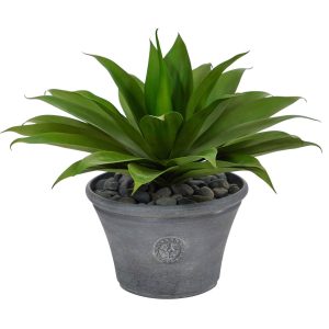 Succulents | 22" Agave Succulent Artificial Plant in Gray Planter Artificial Plants Floor Plants