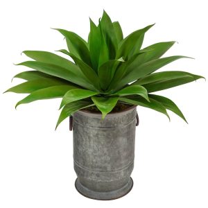 Succulents | 26" Agave Succulent Artificial Plant in Vintage Metal Planter Artificial Plants Floor Plants