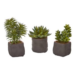 Succulents | Mixed Succulent Trio Artificial Plant (Set of 3) Artificial Plants Desk Plants