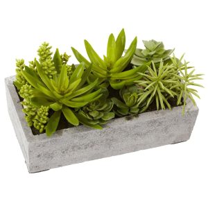 Succulents | Succulent Garden Concrete Planter Artificial Plants Desk Plants