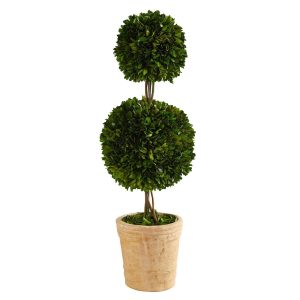 Topiary Trees | 2.5' Preserved Boxwood Double Ball Topiary Tree in Decorative Planter Artificial Trees Other Varieties