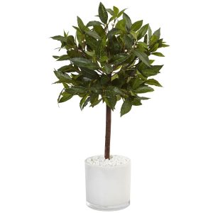 Topiary Trees | 2' Sweet Bay Tree in White Glossy Cylinder Artificial Trees Topiary Trees