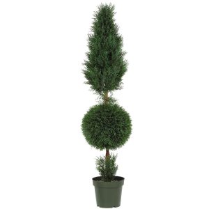 Topiary Trees | 5′ Cypress Ball and Cone Silk Tree (In-door/Out-door) Artificial Trees Cypress Trees