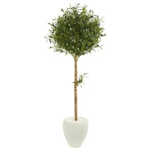 Topiary Trees | 5' Olive Topiary Artificial Tree in White Planter Artificial Trees Olive Tree Collection