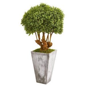 Topiary Trees | 51" Boxwood Artificial Topiary Tree in Cement Planter (Indoor/Outdoor) Artificial Trees Topiary Trees