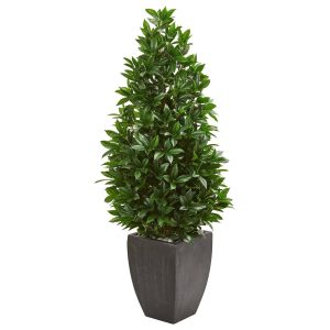 Topiary Trees | 56" Bay Leaf Cone Topiary Artificial Tree UV Resistant in Black Planter (Indoor/Outdoor) Artificial Trees Topiary Trees