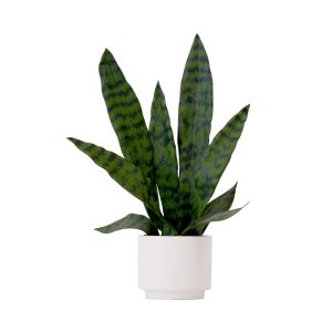 Trees with Planters | 16" Artificial Sansevieria Snake Plant with Decorative Planter Artificial Plants Plants in Decorative Planter