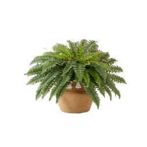 Trees with Planters | 23"Artificial Boston Fern Plant in HandmadeJute & Cotton Basket with Tassels DIY KIT Artificial Plants Ferns