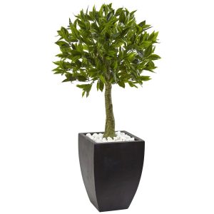 Trees with Planters | Bay Leaf Topiary with Black Wash Planter UV Resistant (Indoor/Outdoor) Artificial Plants Plants in Decorative Planter