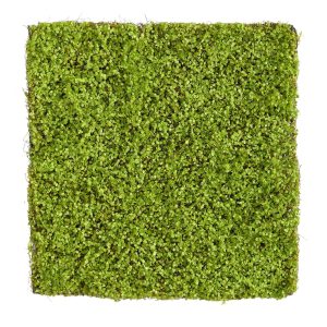 Wall Mats | 20" X 20" Duckweed Artificial Wall Mat Artificial Plants Wall Mats