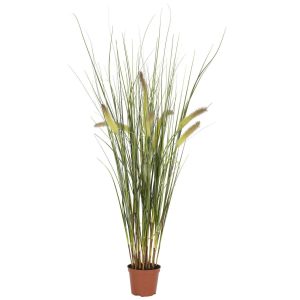 Grass | 2.5' Grass Plant Artificial Plants Grass