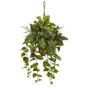 Pothos | 46" Mixed Pothos and Boston Fern in Hanging Basket" Artificial Plants Pothos