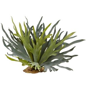 Ferns | 21" Staghorn Fern (Set of 2) Artificial Plants Bushes