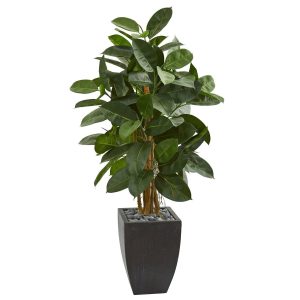 Other Varieties | 56" Artificial Rubber Tree in Black Planter Artificial Trees Other Varieties