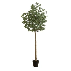 Statement Trees | 7' Artificial Eucalyptus Tree Artificial Trees Statement Trees