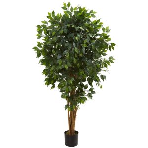 Ficus Trees | 5.5’ Artificial Ficus Tree Bunched Trunks Artificial Trees Ficus Trees